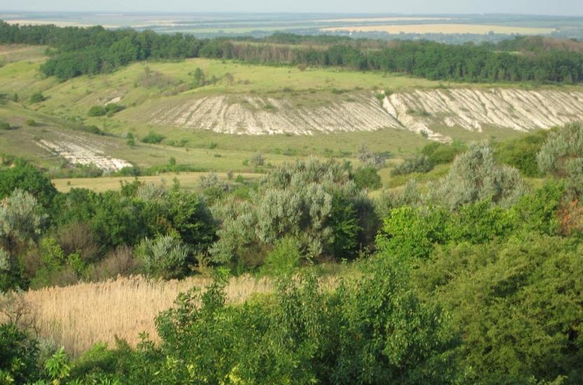 Хворостянівка з panoramio.com - Хворостянівка