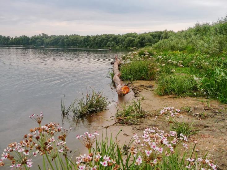 Вища Дубечня з panoramio.com - Вища Дубечня