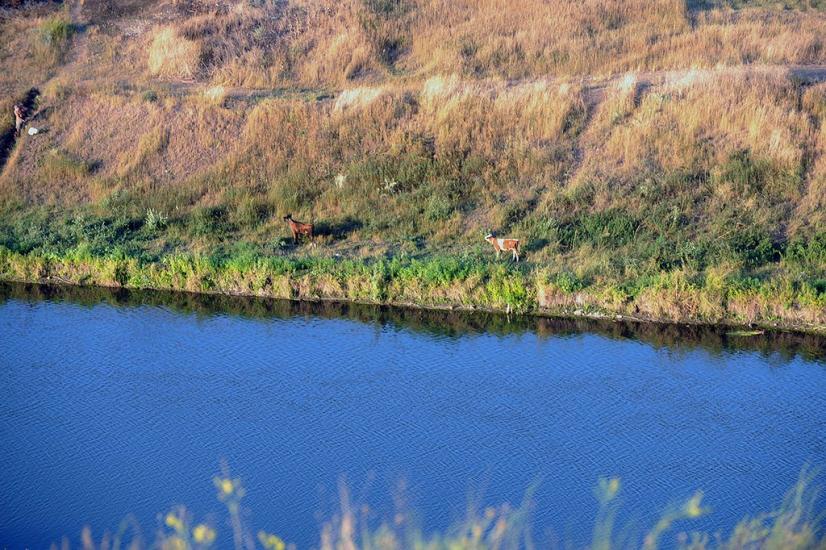 Роздольне з panoramio.com - Роздольное