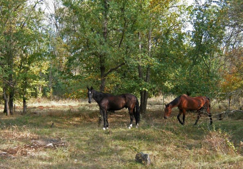 Глеюватка з panoramio.com - Глееватка