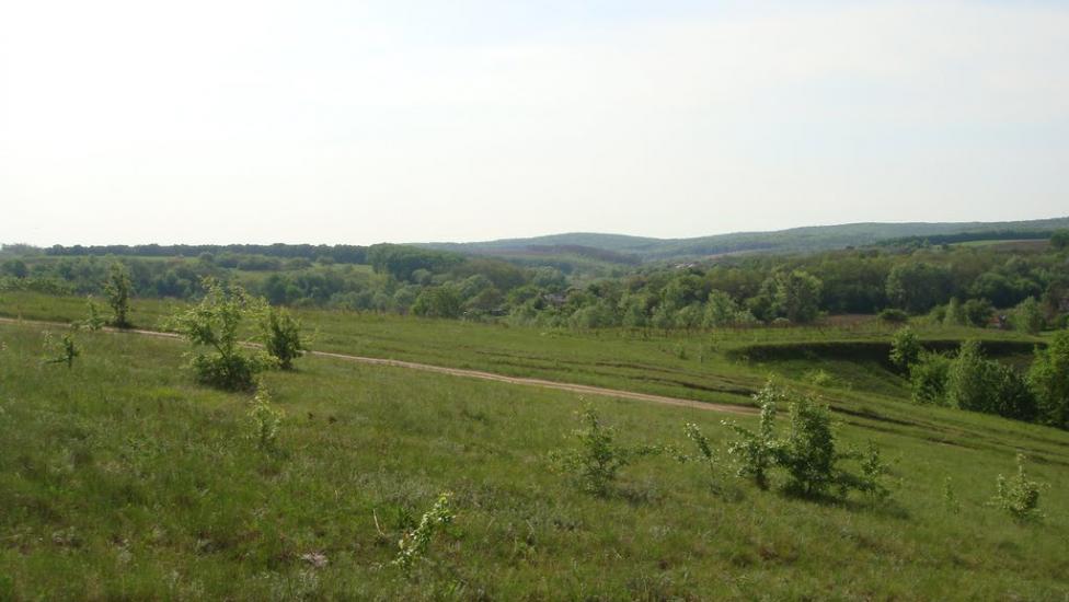 Лубенці з panoramio.com - Лубенцы