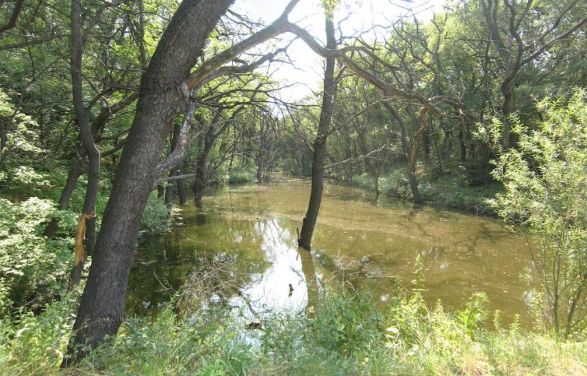Ясинувата з panoramio.com - Ясиноватая