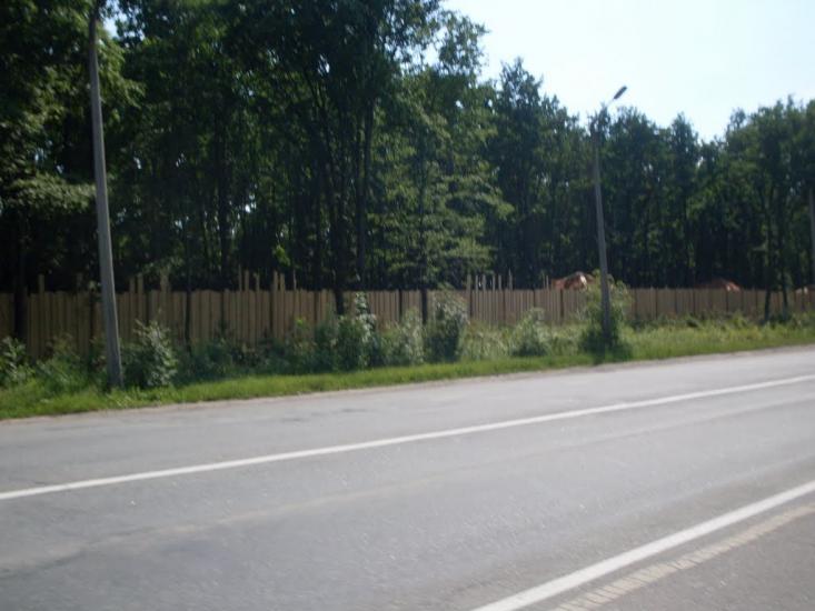 Бережне з panoramio.com - Бережное