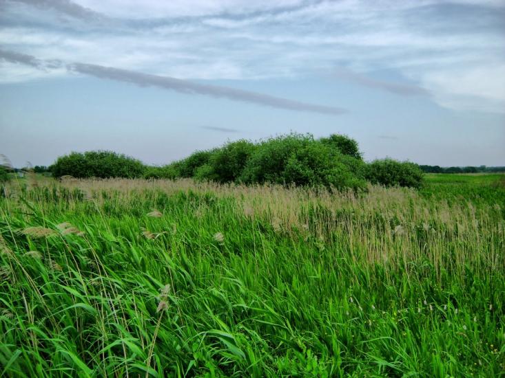 Коротич з panoramio.com - Коротыч