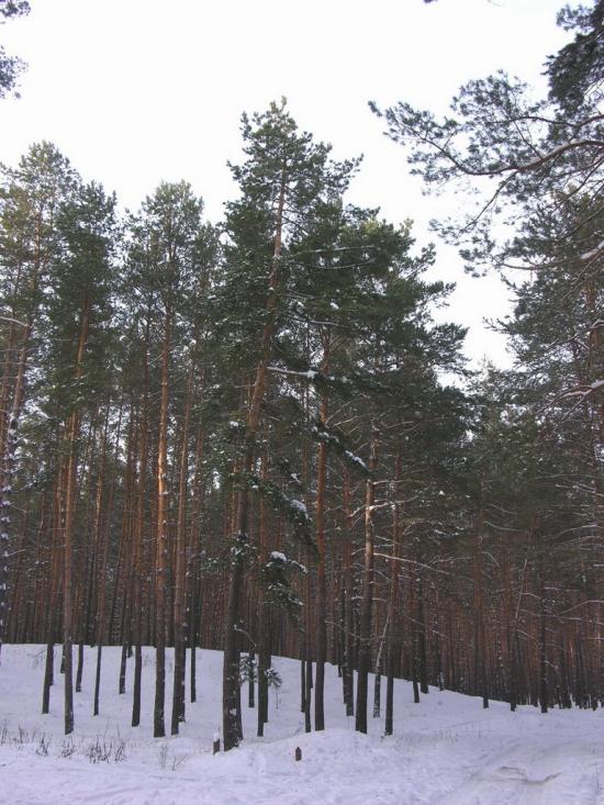 Крейдянка з panoramio.com - Крейдянка