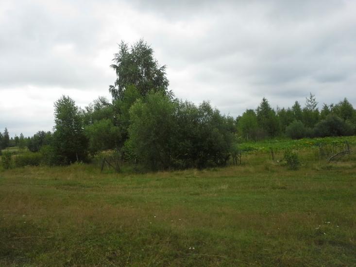 Сошники з panoramio.com - Сошники