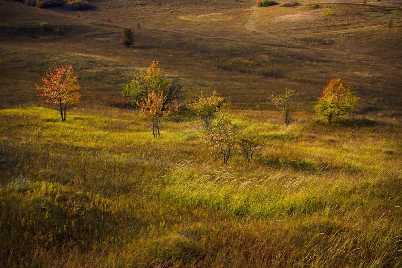Замірці з panoramio.com - Замірці