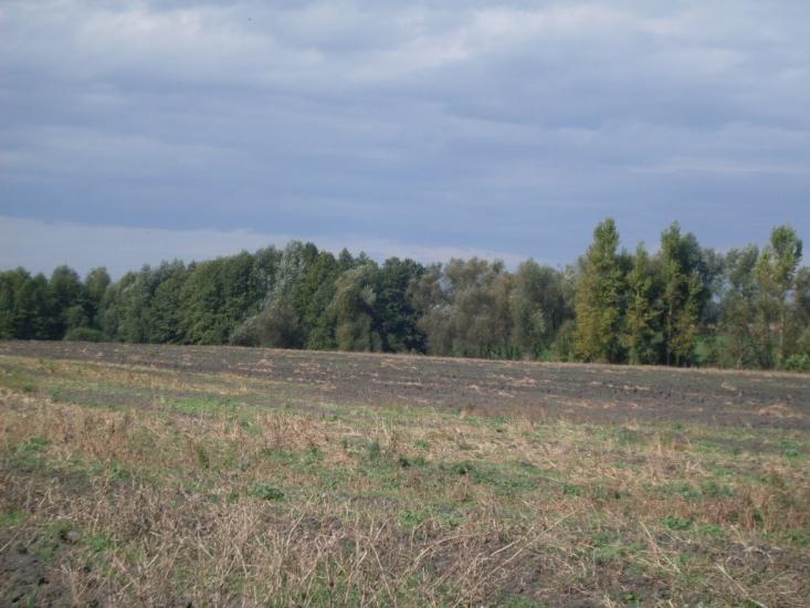 Харпачка з panoramio.com - Харпачка