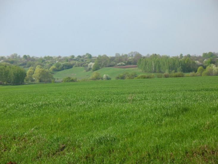 Заїченці з panoramio.com - Заїченці