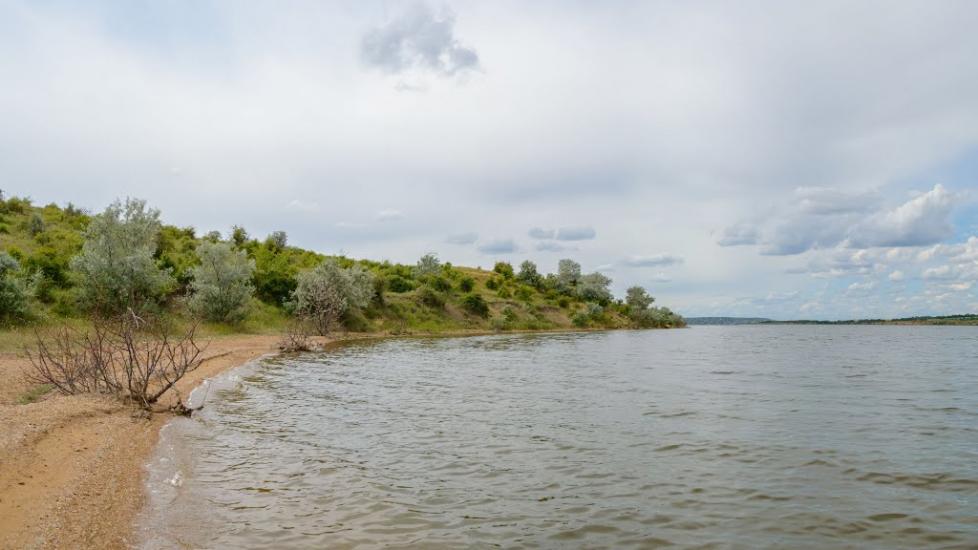 Паліївка з panoramio.com - Паліївка