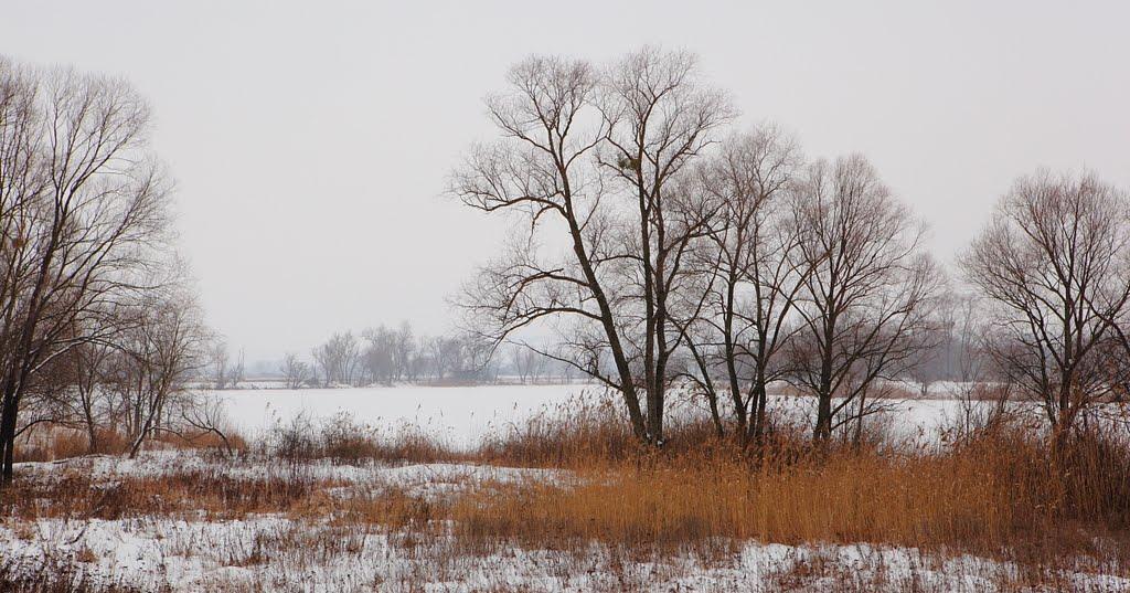 Зідьки з panoramio.com - Zidky