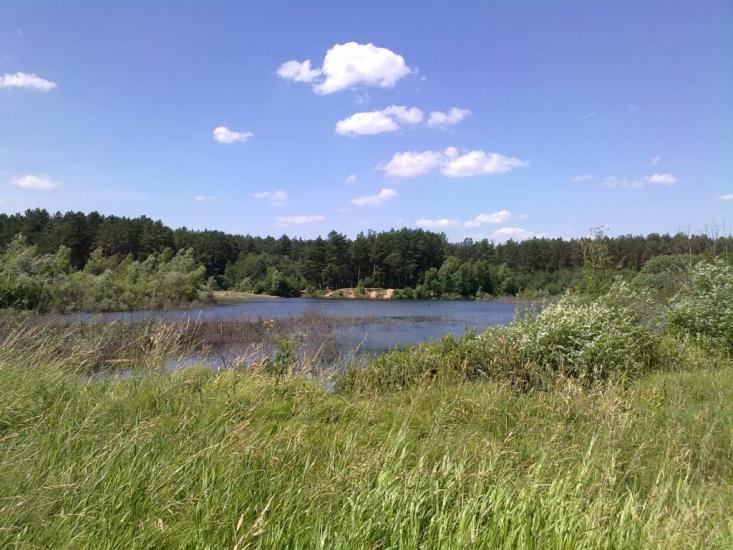 Халявин з panoramio.com - Халявин