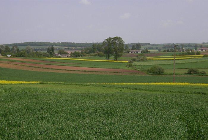 Угнів з panoramio.com - Ugniv