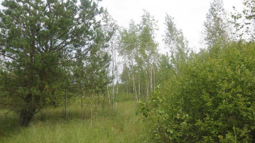 Велимче з panoramio.com - Велимче