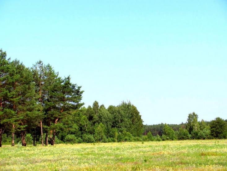 Воронки з panoramio.com - Воронки