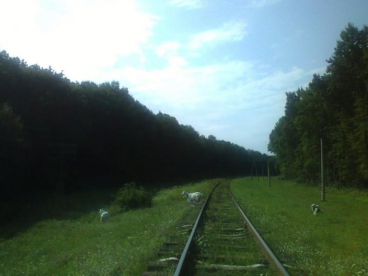 Сатанівка з panoramio.com - Сатановка