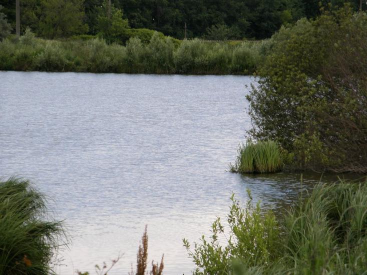 Коротич з panoramio.com - Коротыч