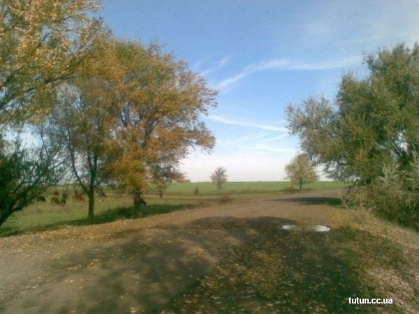 Новоіванівка з panoramio.com - Новоивановка
