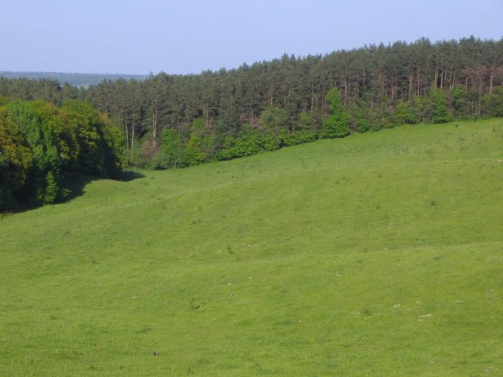 Хмільник з panoramio.com - Хмельник