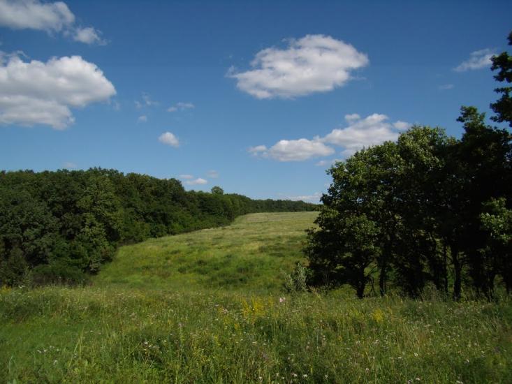 Питомник з panoramio.com - Питомник