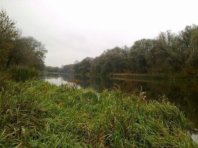 Стародубівка з panoramio.com - Стародубовка