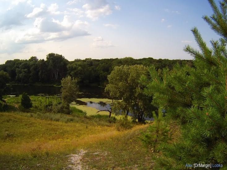 Стародубівка з panoramio.com - Стародубівка