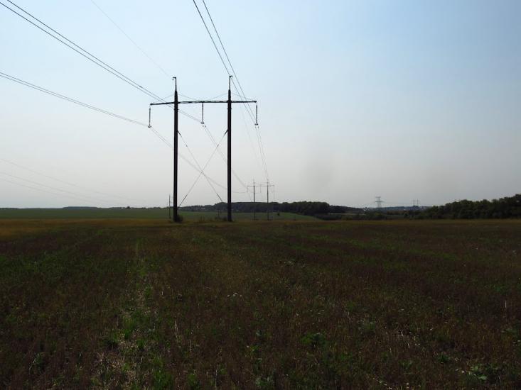 Велика Березовиця з panoramio.com - Великая Березовица