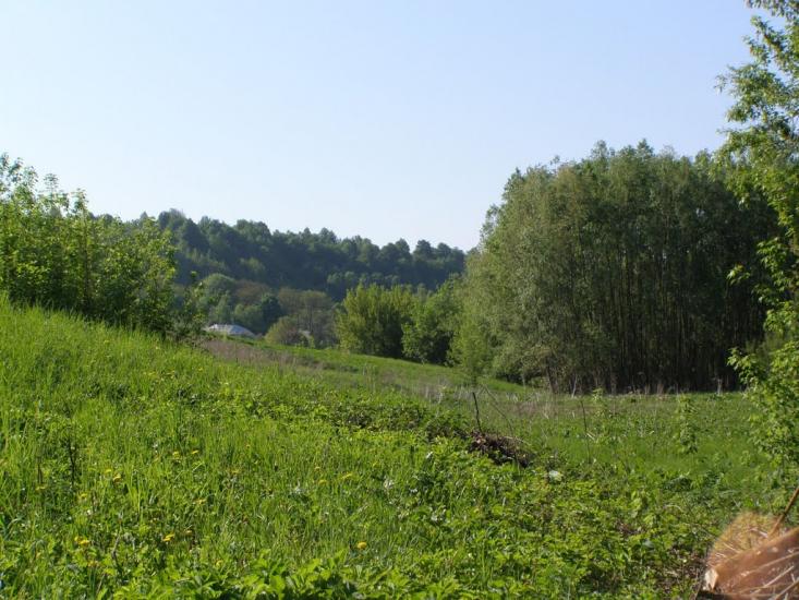 Черкасівка з panoramio.com - Черкасівка