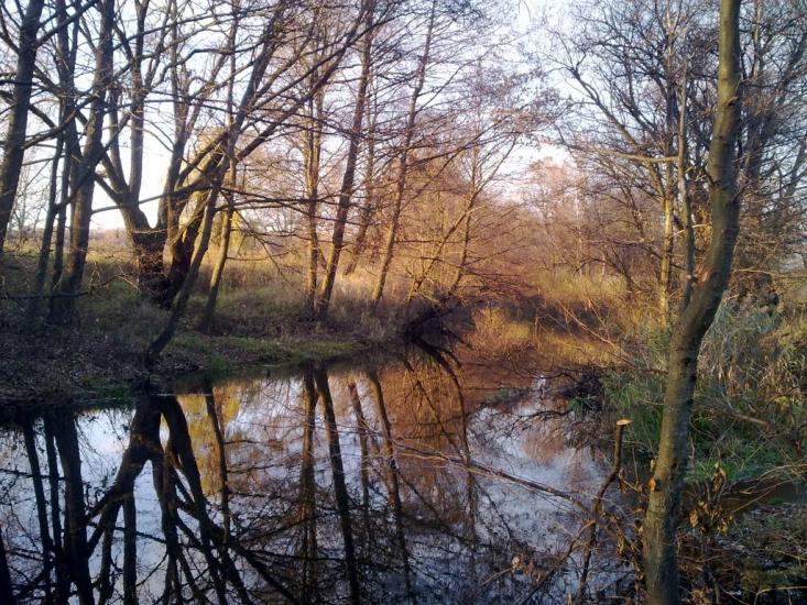 Мала Данилівка з panoramio.com - Малая Даниловка