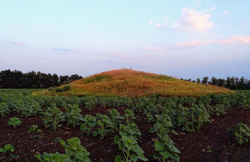 Новозванівка з panoramio.com - Новозвановка