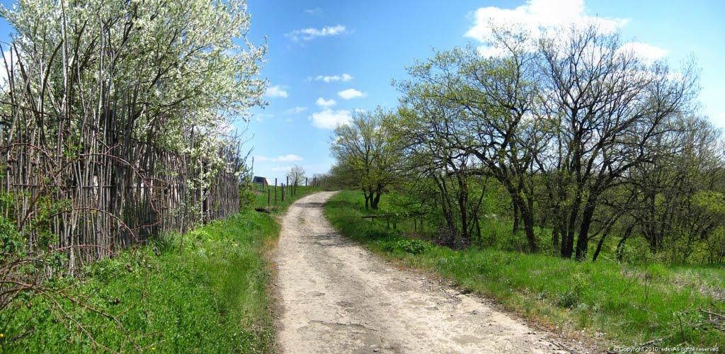Комісарівка з panoramio.com - Комиссаровка