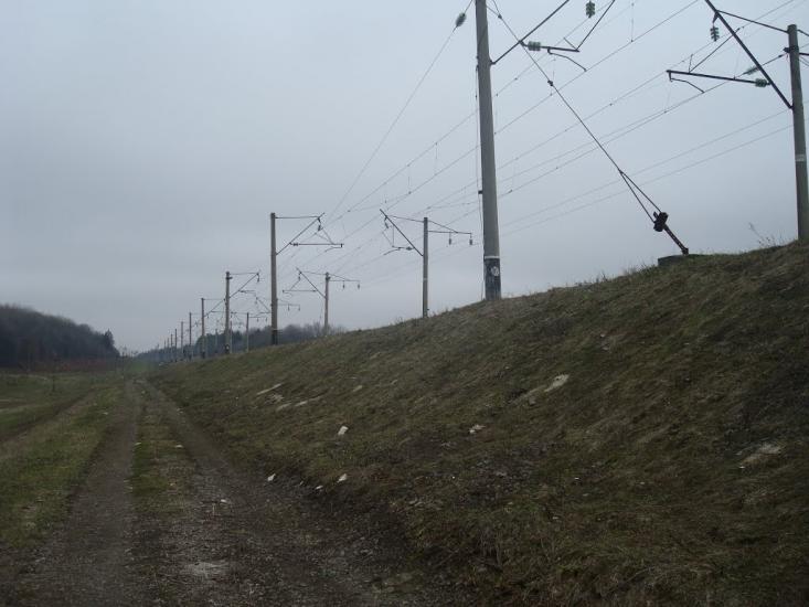 Стодульці з panoramio.com - Stodultsi