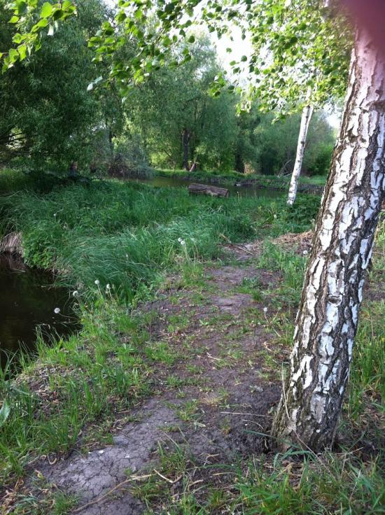 Іванівка з panoramio.com - Іванівка