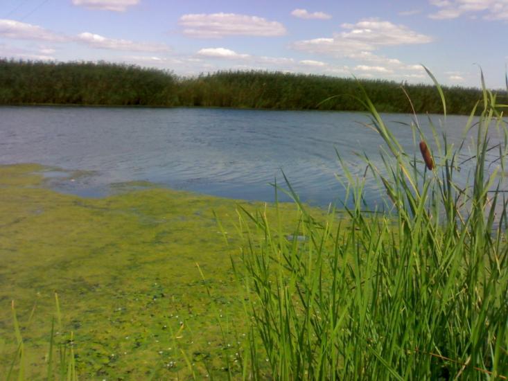 Пересадівка з panoramio.com - Пересадівка