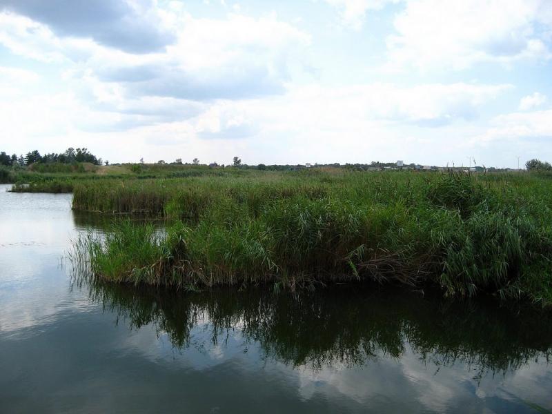 Горянівське з panoramio.com - Горяновское