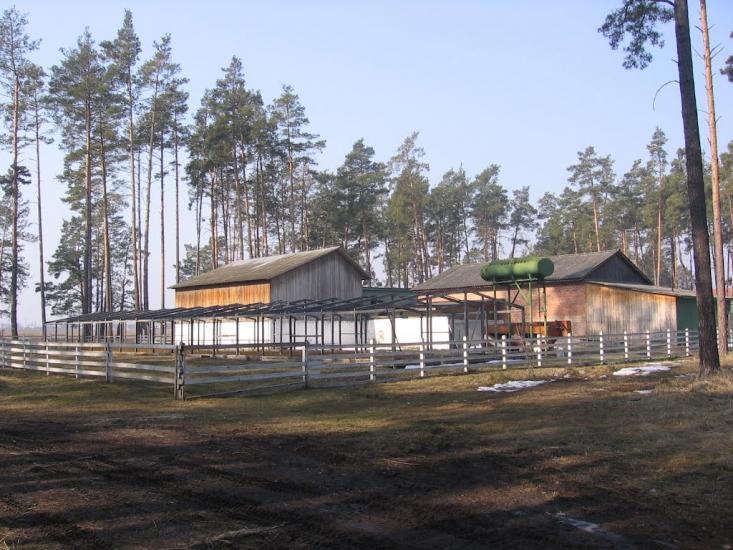 Мигалки з panoramio.com - Mygalky