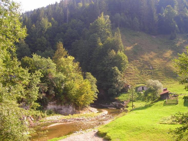 Соколівка з panoramio.com - Sokolivka