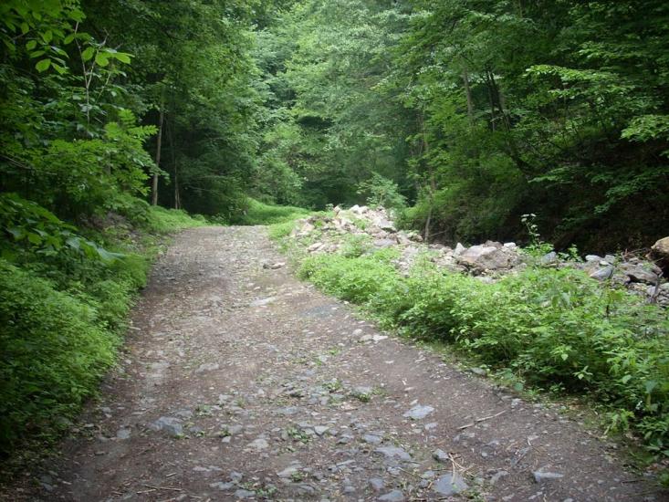 Кам'яниця з panoramio.com - Кам'яниця