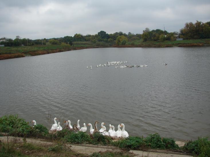 Іскрівка з panoramio.com - Іскрівка