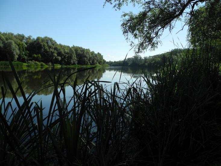 Пархоменко з panoramio.com - Пархоменко