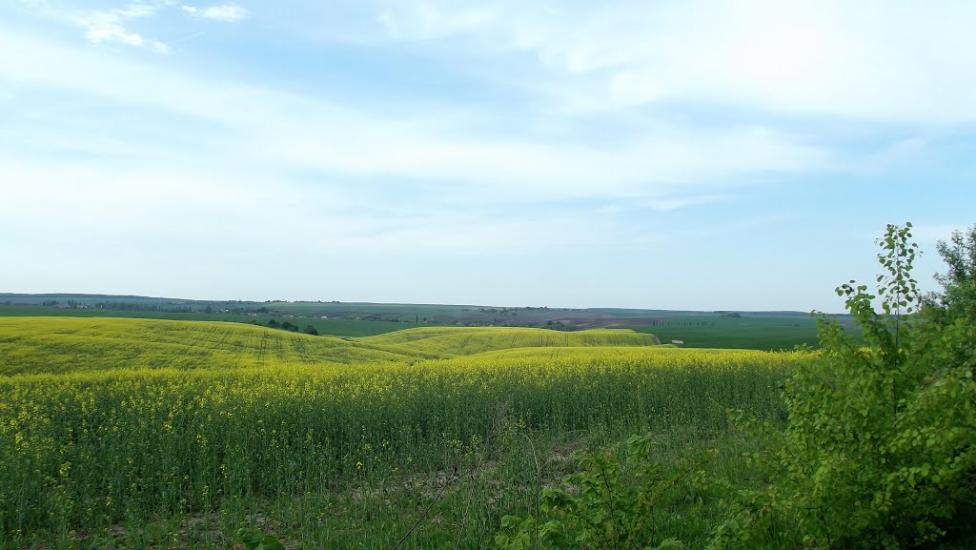 Цеперів з panoramio.com - Tseperiv