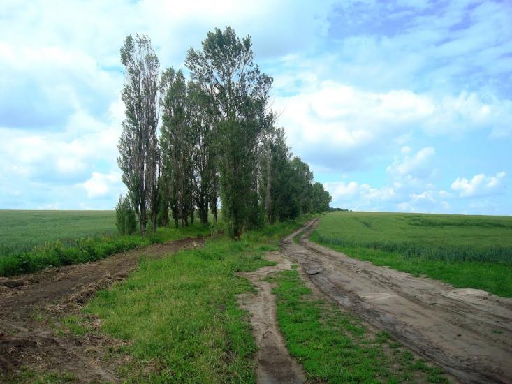 Давидківці з panoramio.com - Давыдковцы