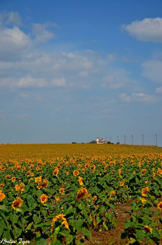 Болгарка з panoramio.com - Болгарка