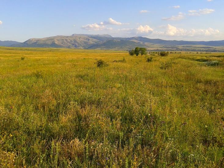 Дружне з panoramio.com - Дружное