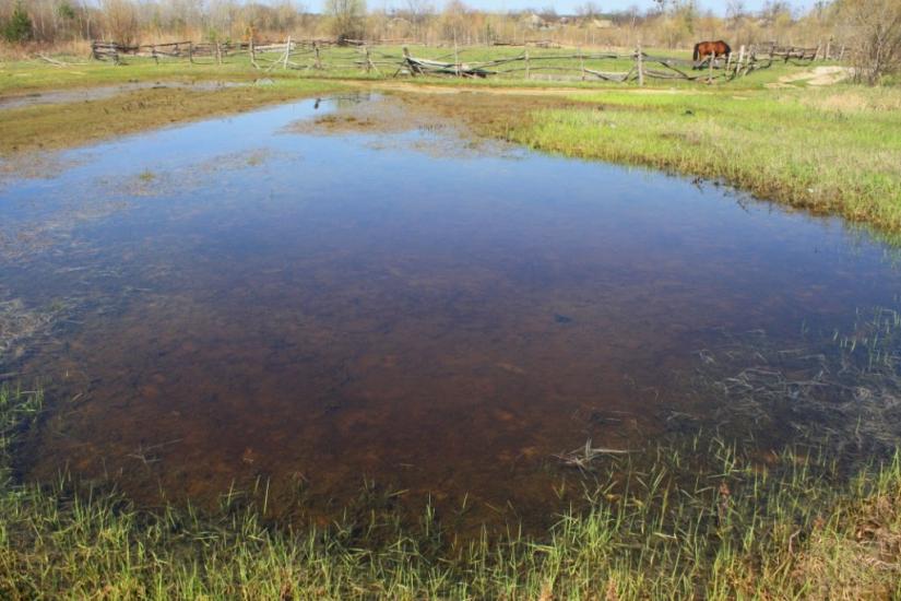 Хоцьки з panoramio.com - Хоцки