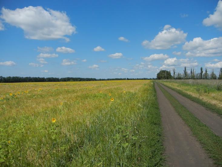 Хроли з panoramio.com - Фролы