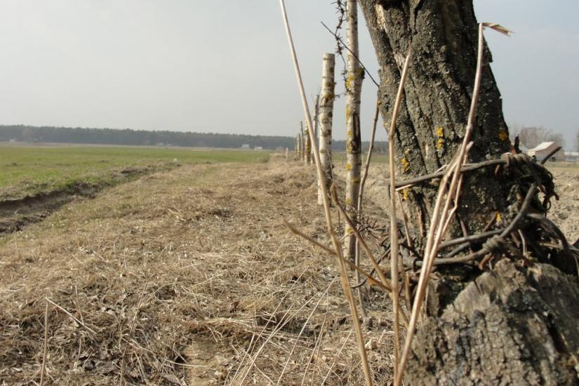 Бодячів з panoramio.com - Бодячев