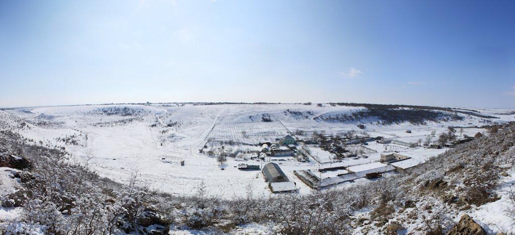 Живописне з panoramio.com - Zhyvopysne