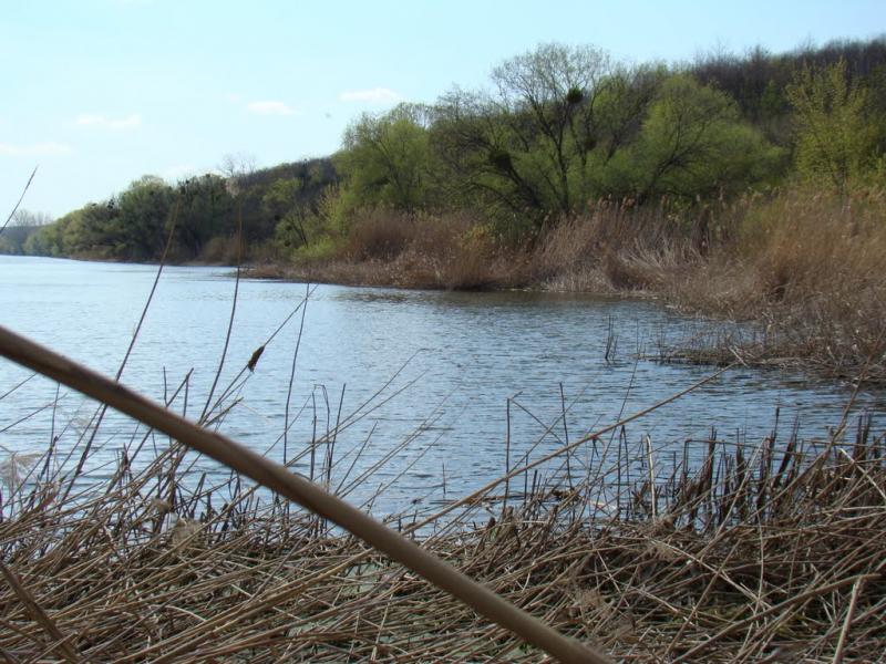 Геніївка з panoramio.com - Геніївка