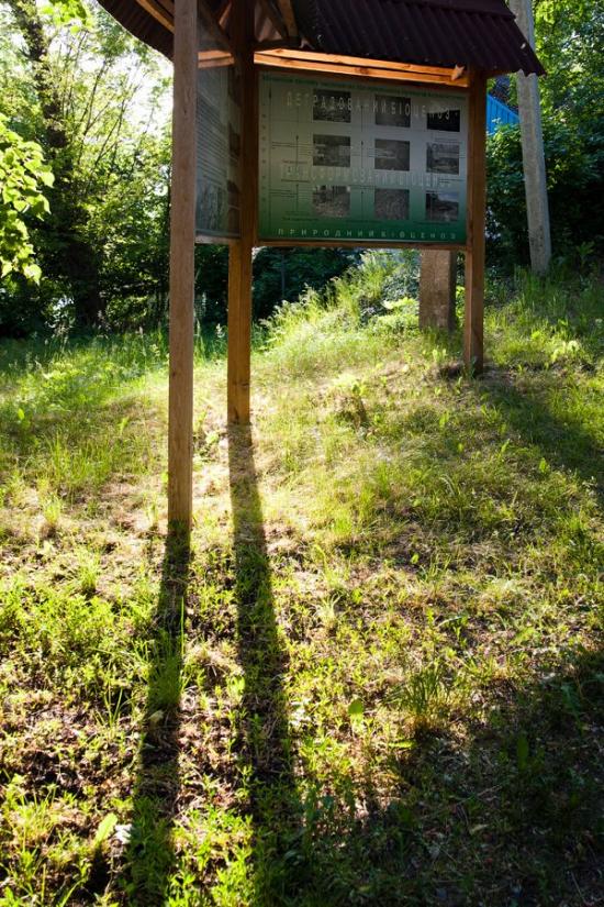 Пекарі з panoramio.com - Пекарі
